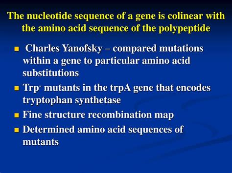 Codon 的图像结果
