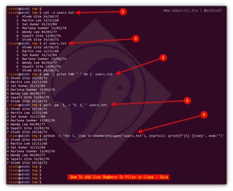 How to Insert a Word in a Line Using Unix Command 的图像结果