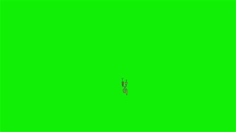 Greenscreen Animation Effects 的图像结果