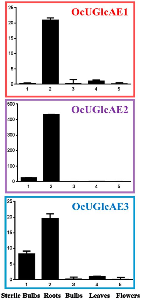 cDNA Isolation and Functional Characterization of UDP-d-glucuronic Acid ...