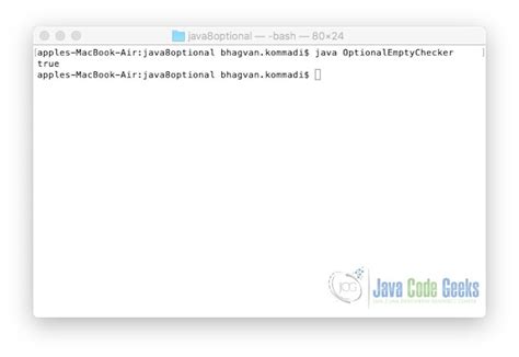 Image result for Java Optional Example
