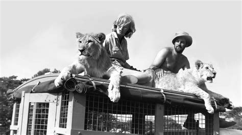 Founder of Born Free Virginia McKenna awarded Damehood - Born Free