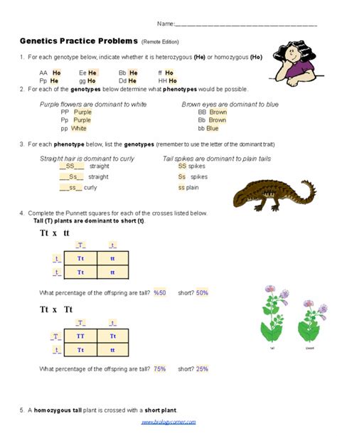 Image result for Simple Genetics Practice Problems Answer Key