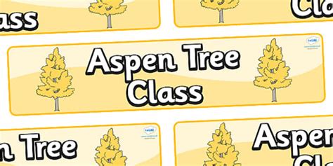 Aspen University Classroom 的图像结果