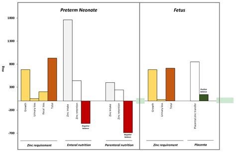 Zinc in Early Life: A Key Element in the Fetus and Preterm Neonate