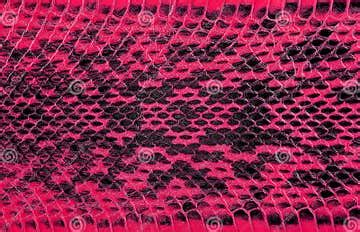 Image result for Pink Python Skin