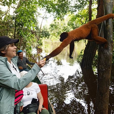 TOUR IQUITOS & PACAYA SAMIRIA (2026) All You Need to Know BEFORE You Go ...