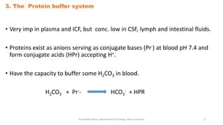Image result for Protein Buffer System