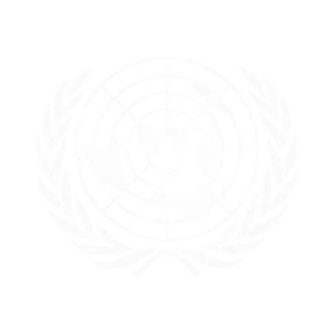 VISMUN'25 - Committees