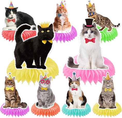 Obookey Cat Themed Birthday Party Decorations - 9PCS Cat India | Ubuy