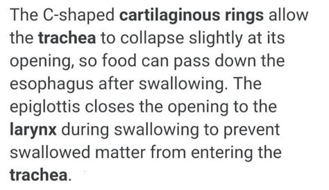 the walls of trachea is supported by cartilage rings give reason ...