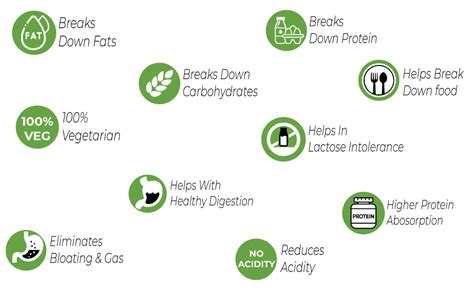 NUTRABOX Digestive Enzymes Plus, Brown : Amazon.in: Health & Personal Care