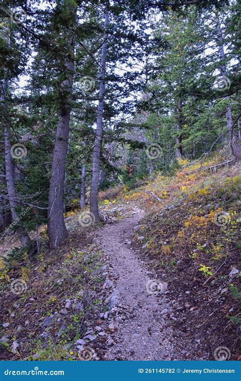 Deseret Peak Hiking Trail Stansbury Mountains, by Oquirrh Mountains ...