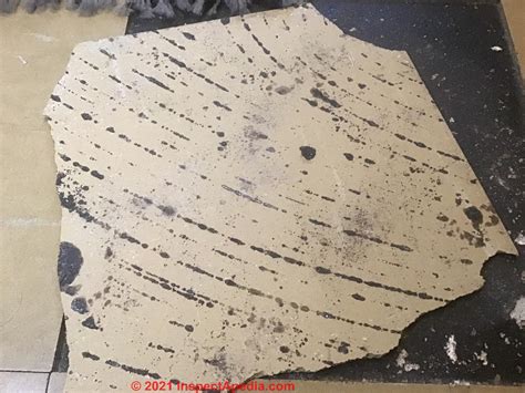 Identifying Asbestos In Vinyl Sheet Flooring - Flooring Designs