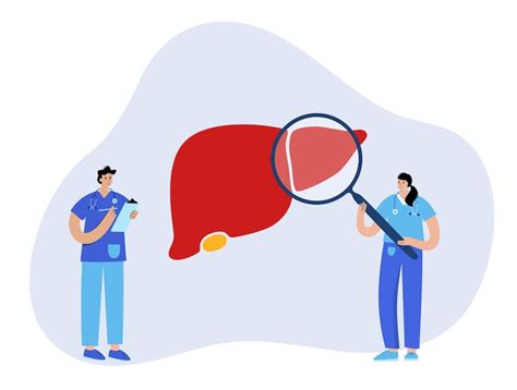 Liver diagnosis Vectors - Download Free High-Quality Vectors from ...