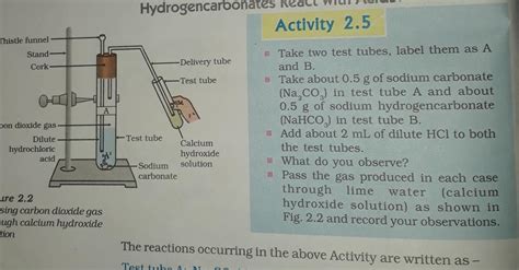 Explain activity 2.5 class 10 - Brainly.in