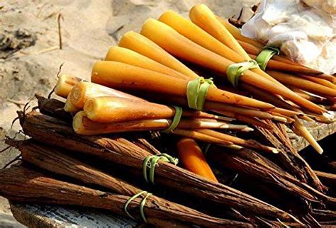 Buy SITARA FOODS - 250 Grams : Taati Tegalu / Thati Tegalu , Tender ...