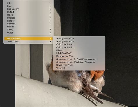 Image result for 2020 DxO Tutorials