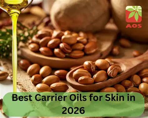 Carrot Seed Oil: 11 Benefits & Uses You Should Know | AOS Blog