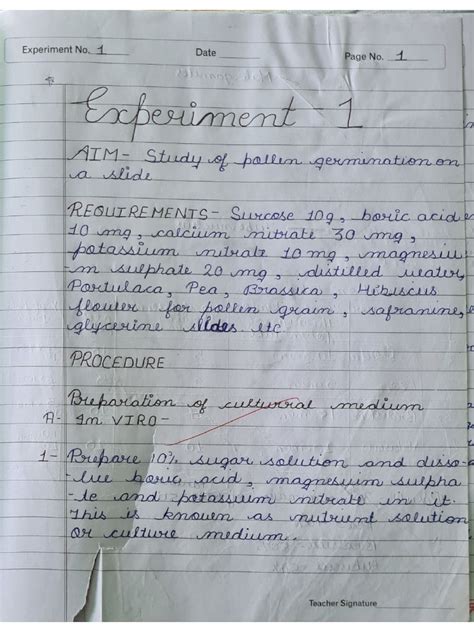 Image result for Standard 12 Practical Registration Form