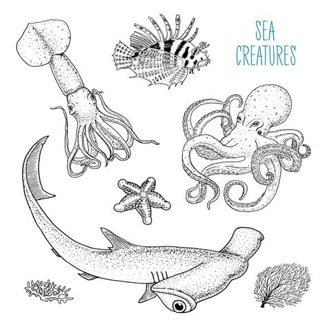 Fishes or sea creature octopus and squid calamari red lionfish and ...