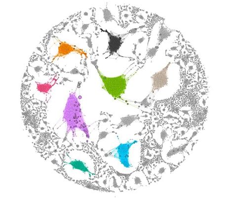 Graph Visualization Explained Images 的图像结果