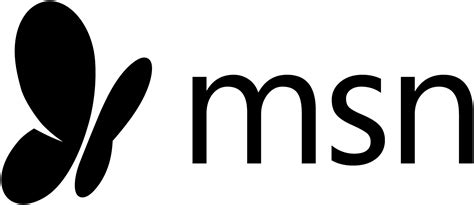 MSN 的图像结果
