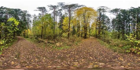 Image result for Equirectangular Backgrounds