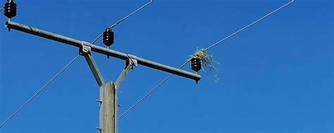 Gefahr beim Heuwenden: Windstoß führt zu Kurzschluss an Strommast ...