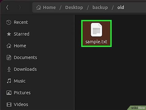 String Copy File in Linux 的图像结果