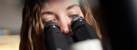 Medical Technology Program 的图像结果