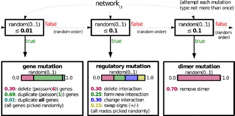 Image result for Mutation Process
