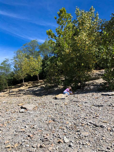 A Guide To Trammel Fossil Park In Ohio