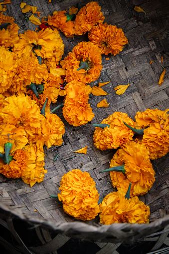 Bali Flower Market 的图像结果