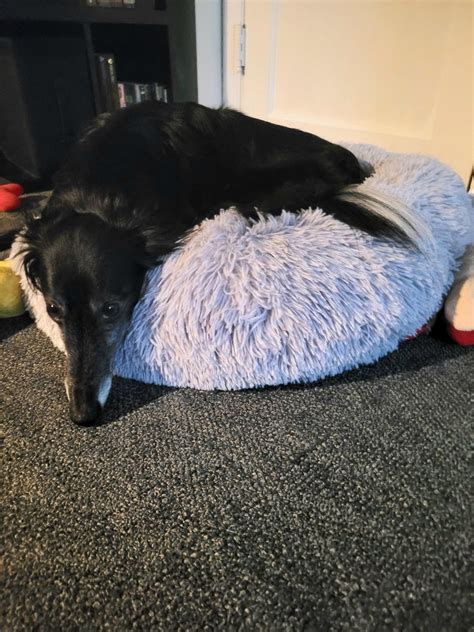 Image result for Alien Worm Returns