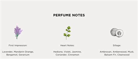 MONTE ROSA (50ml) – ABABEL PERFUMES