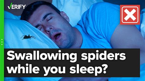 Claim people regularly swallow spiders during sleep is a myth ...