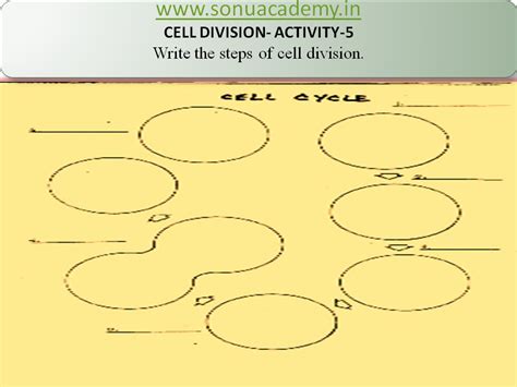 SONU ACADEMY: CELL DIVISION - ACTIVITY 5
