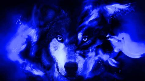 Black And Blue Wolf Wallpaper