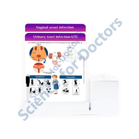 Urinary Tract Infection-UTI: 2 Slide Write Wipe With Utility Container ...