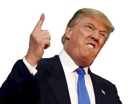 Donald Trump PNG Transparent Donald Trump.PNG Images. | PlusPNG