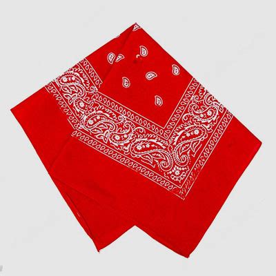 Scarves, Printed Scarves, Stoles, Shawls, Printed Fabrics, Corporate ...