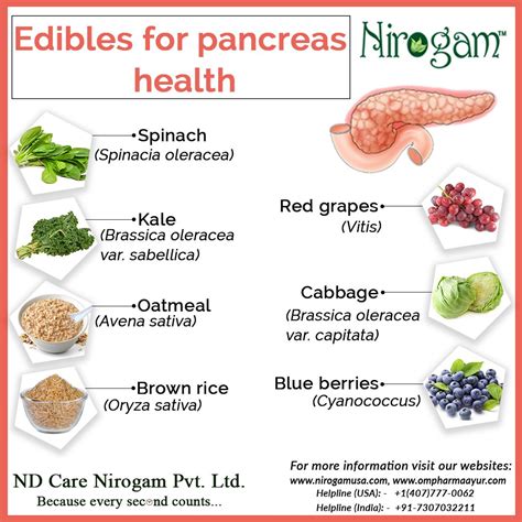What Improves Pancreas Health