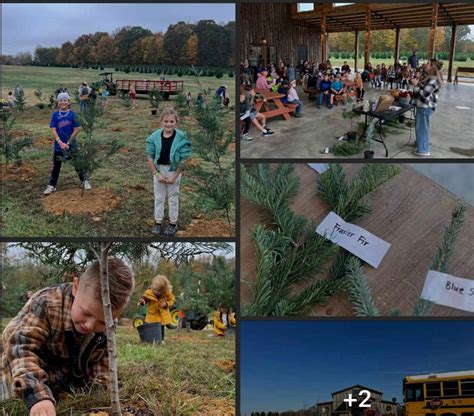 Christmas Tree Education Day at Big Sky Farm (SIGNUPS CLOSED), Big Sky ...