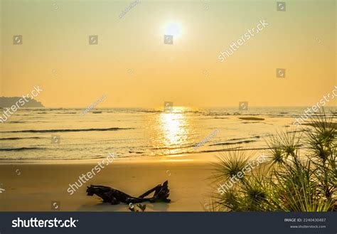 Goa Beach People 的图像结果