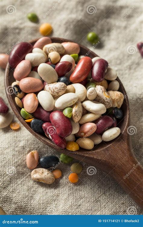 Dry Organic Assorted Bean Mixture Stock Image - Image of beans, heap ...