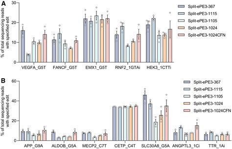Improved split prime editors enable efficient in vivo genome editing: Cell Reports