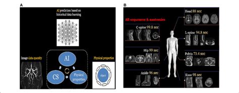 ACS Tutorial Video 的图像结果