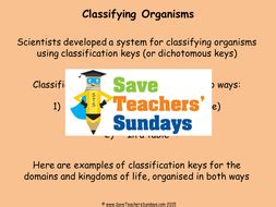 Image result for Classification Worksheet TES KS2