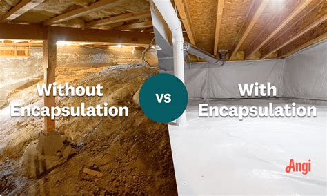 How Much Does Crawl Space Encapsulation Cost? [2025 Data] | Angi
